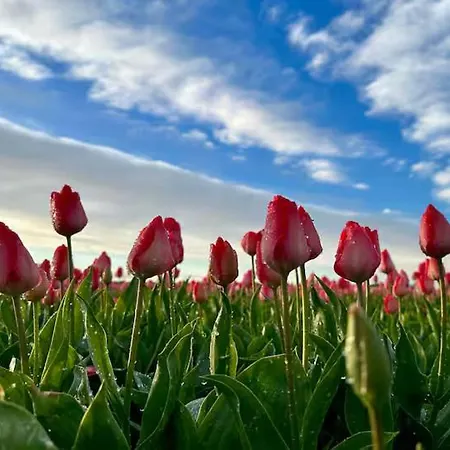 5 Minuten Het Knus Prive Ferienhaus *